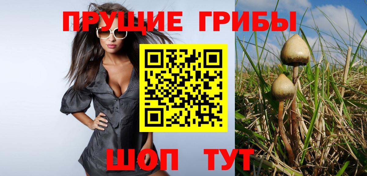 Псилоцибиновые грибы GOLDEN TEACHER Мелеуз