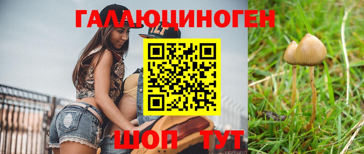 Мелеуз  Псилоцибиновые грибы MAGIC MUSHROOMS  Вход с VPN 